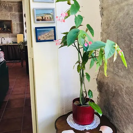 Casa Bella - Charm House